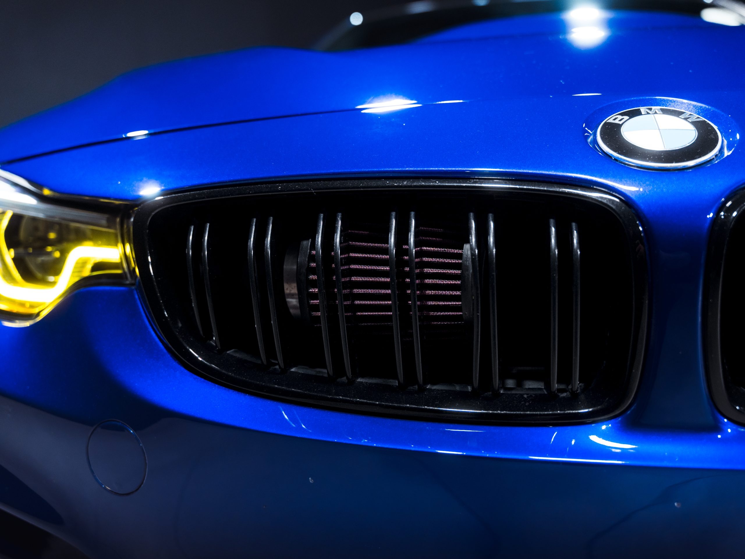 20260212-DSC00474-scaled