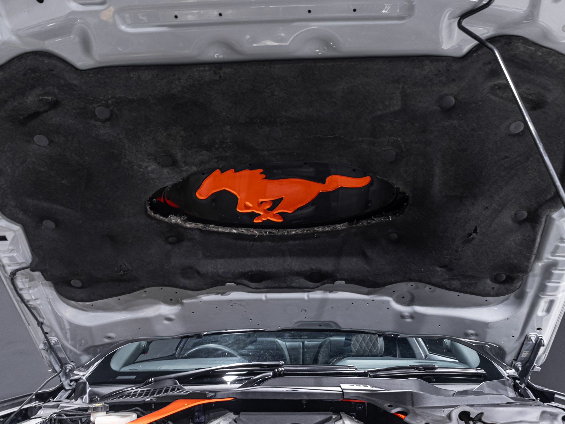 Ford Mustang for sale