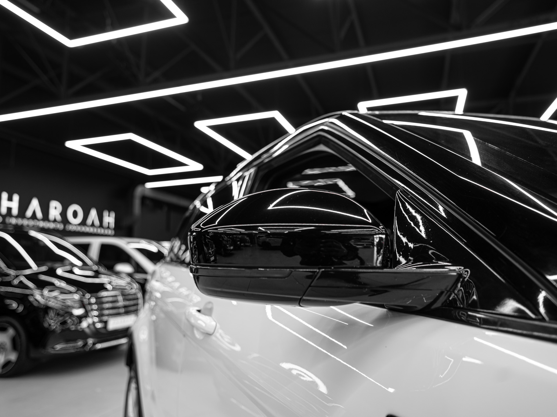20260812 dsc9979