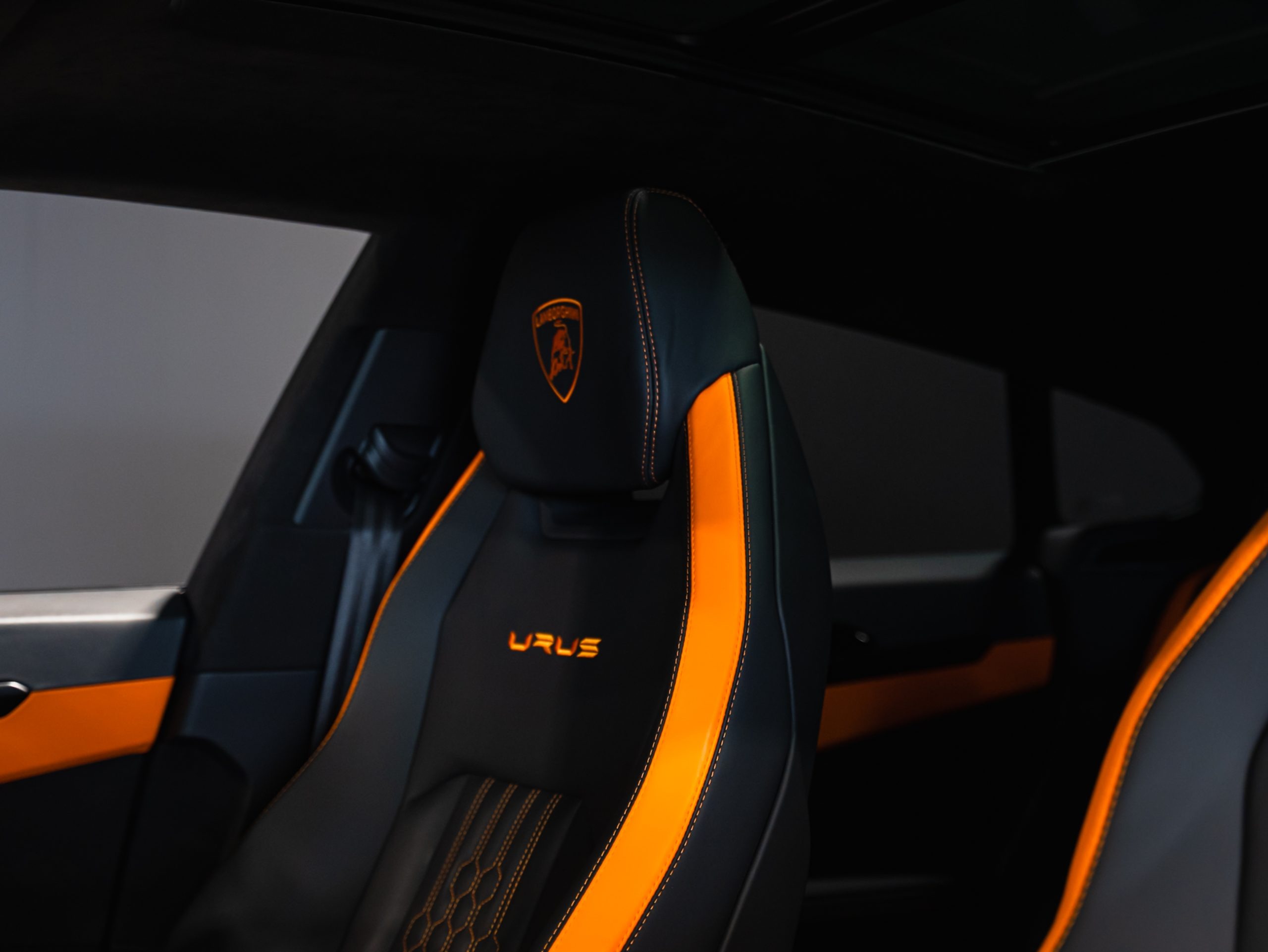 20250609-DSC09661-scaled