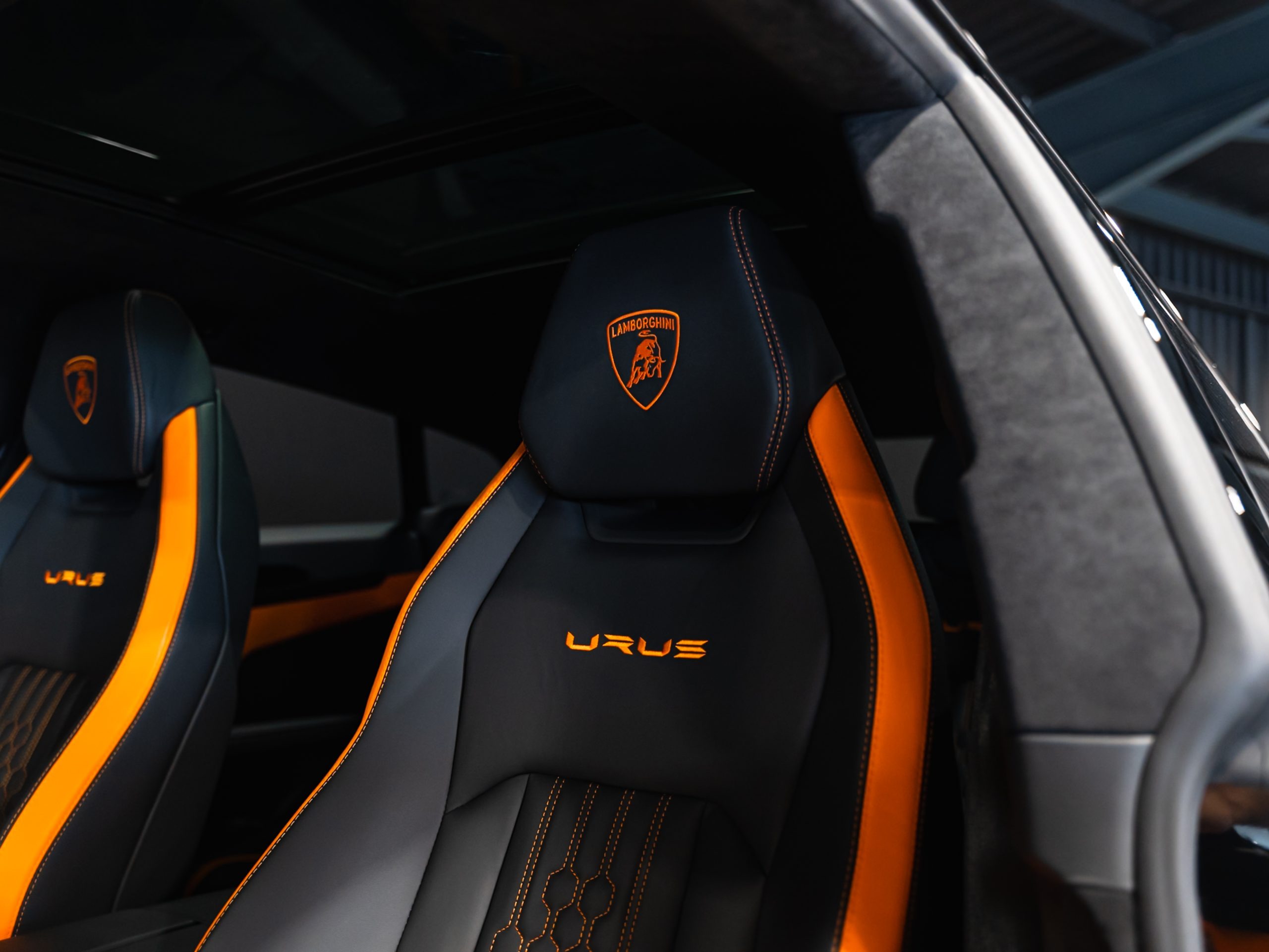 20250609-DSC09662-scaled