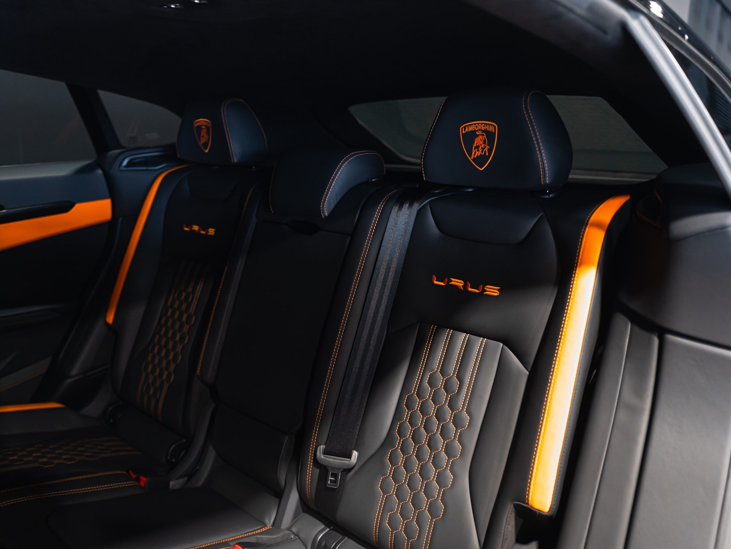 20250609-DSC09666-scaled