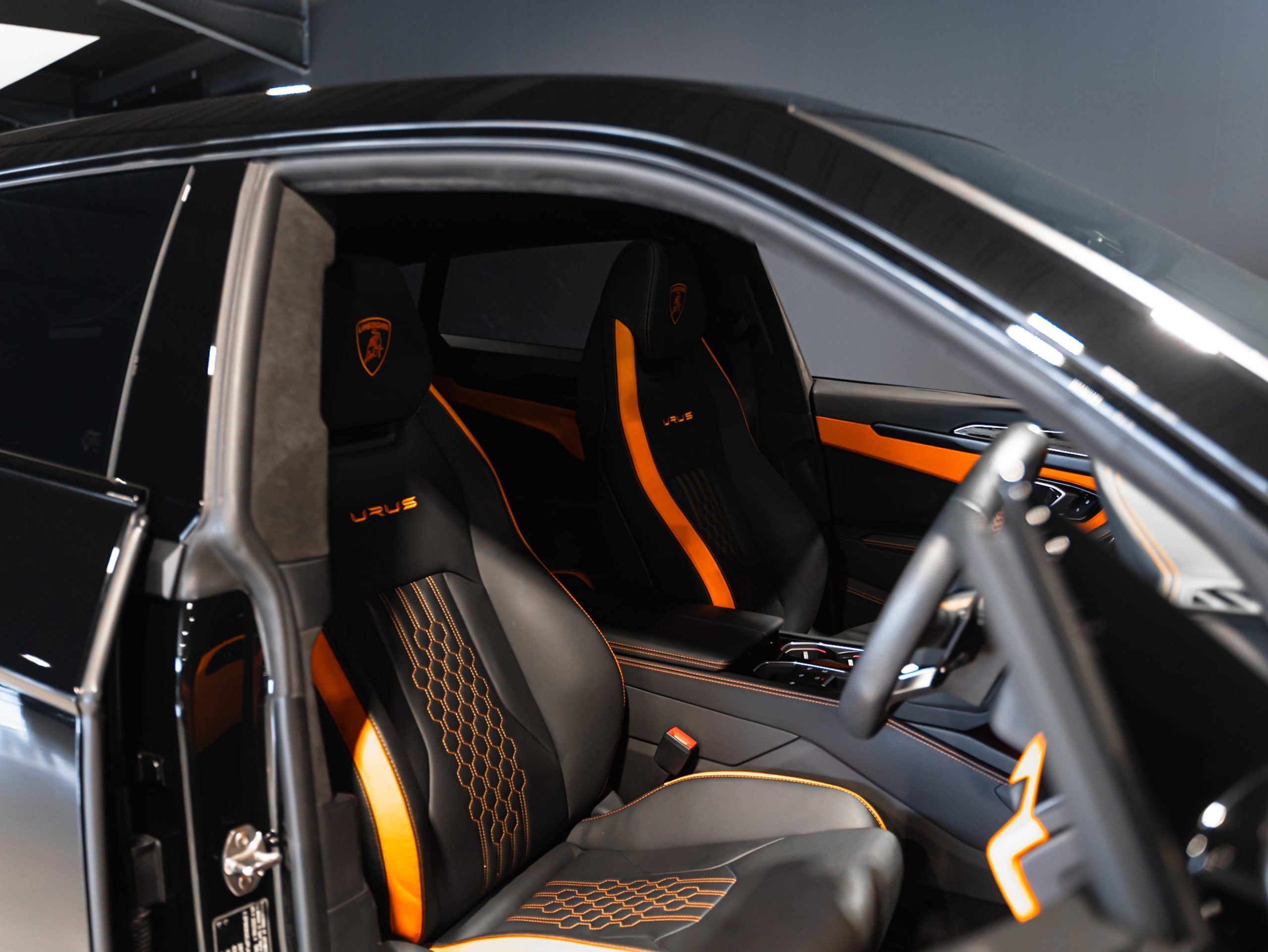 20250609-DSC09679-scaled