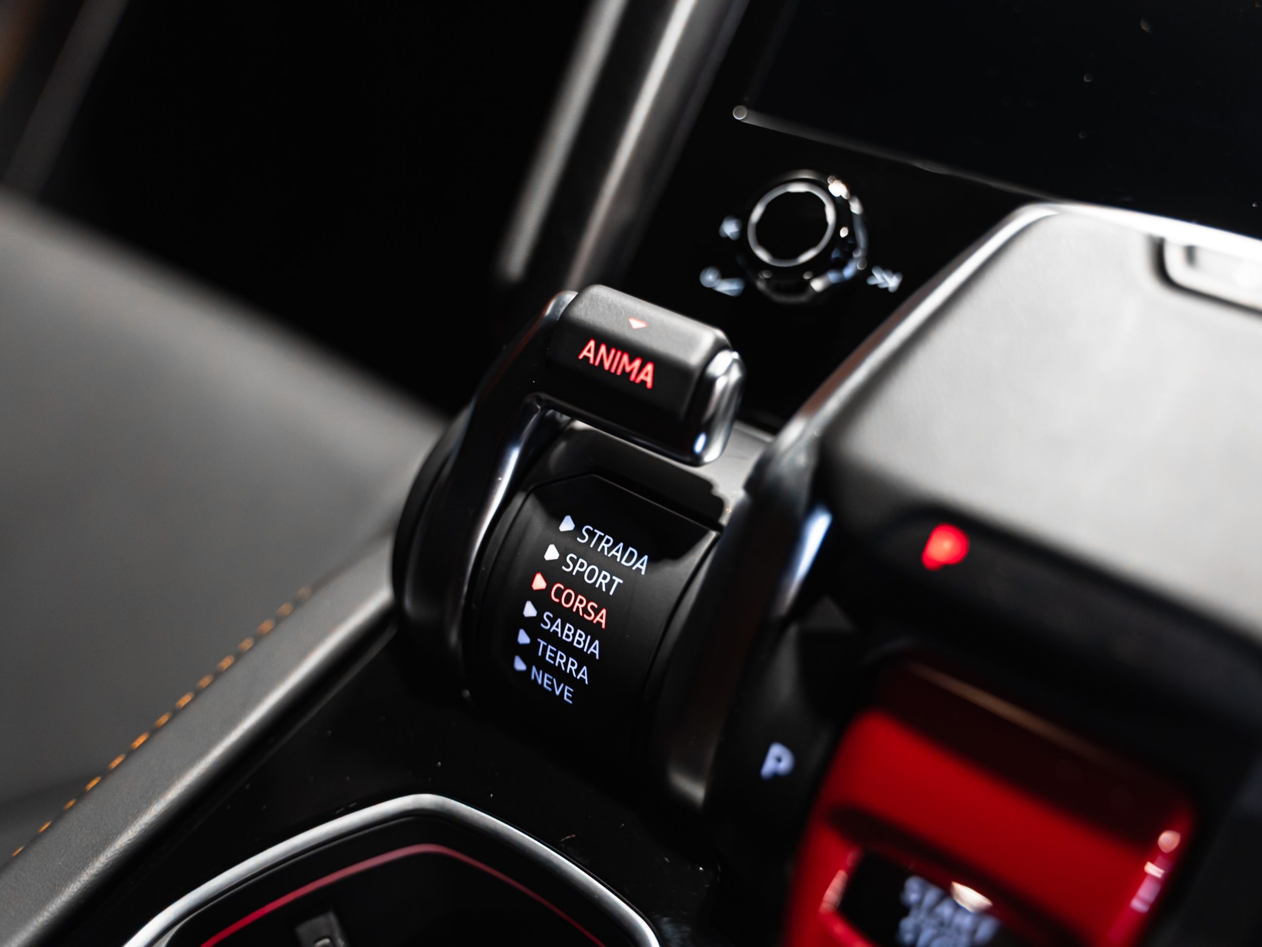 20250609-DSC09684-scaled