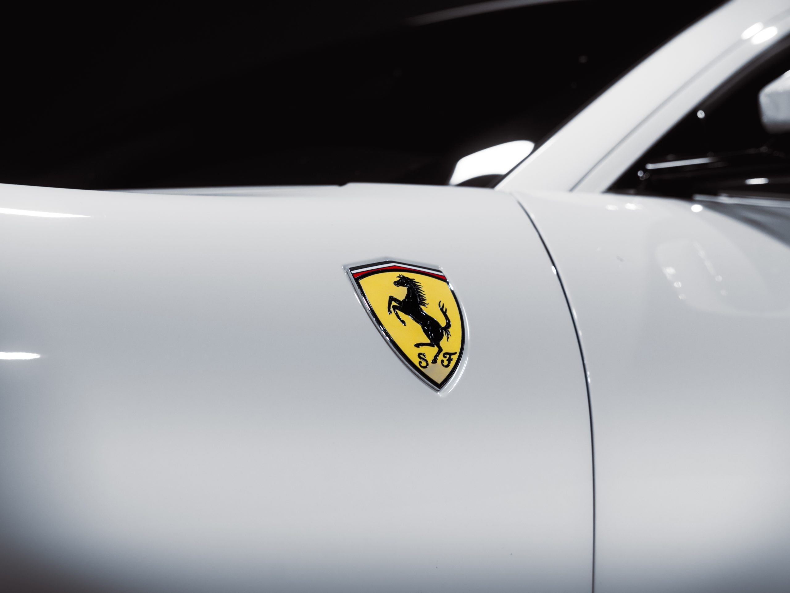 20260206-DSC09625-scaled