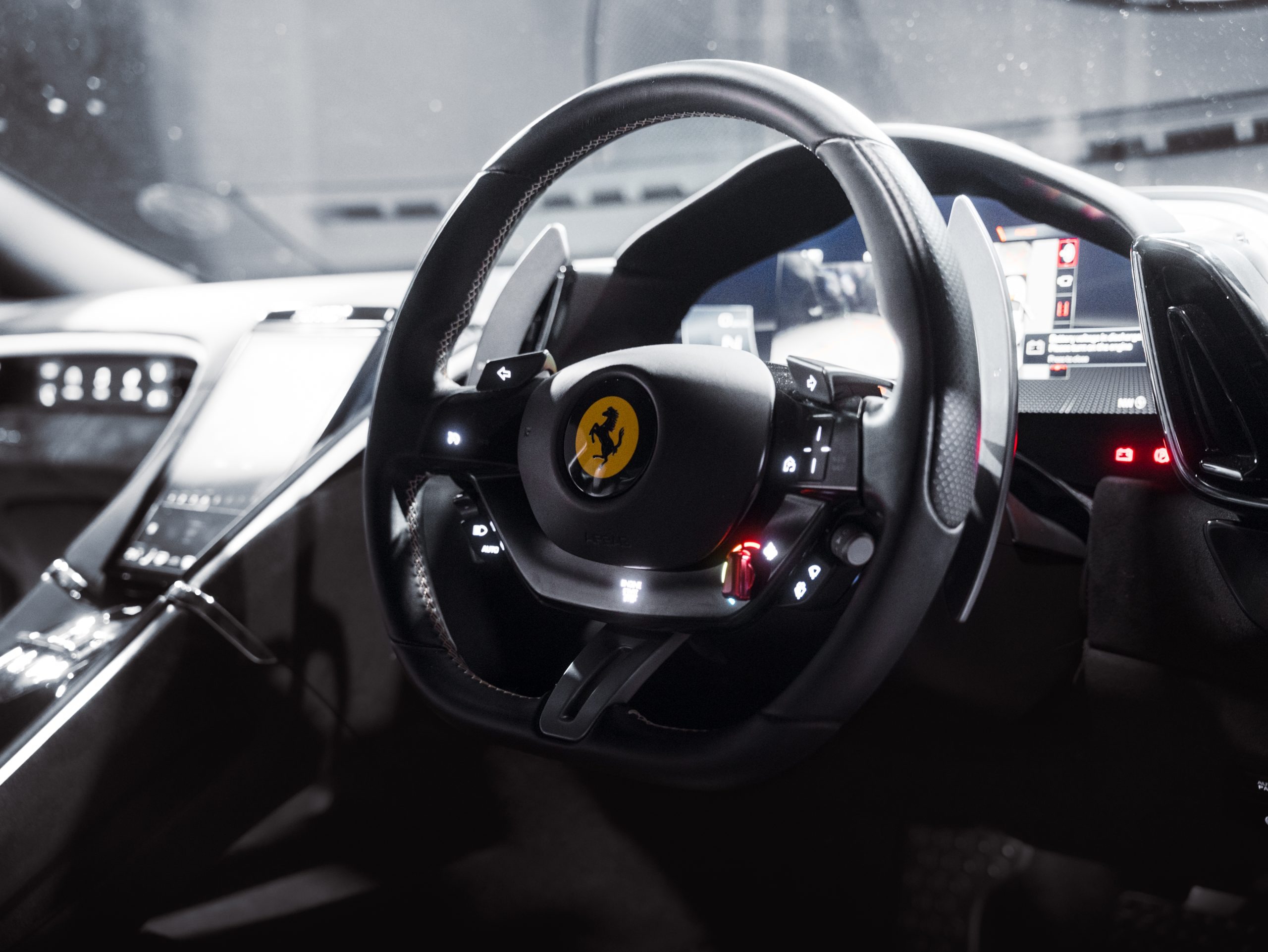 20260206-DSC09630-scaled