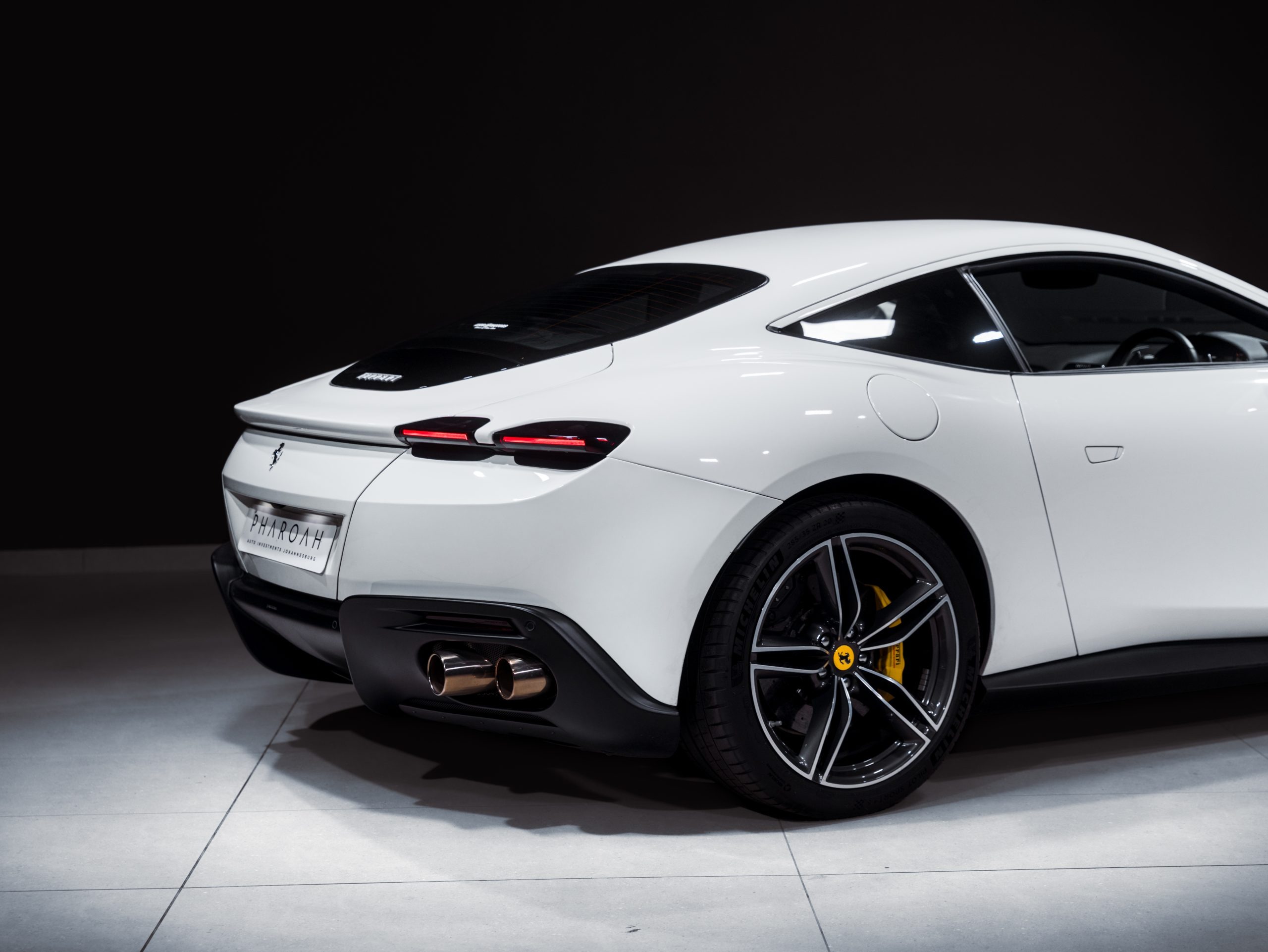 20260206-DSC09648-scaled