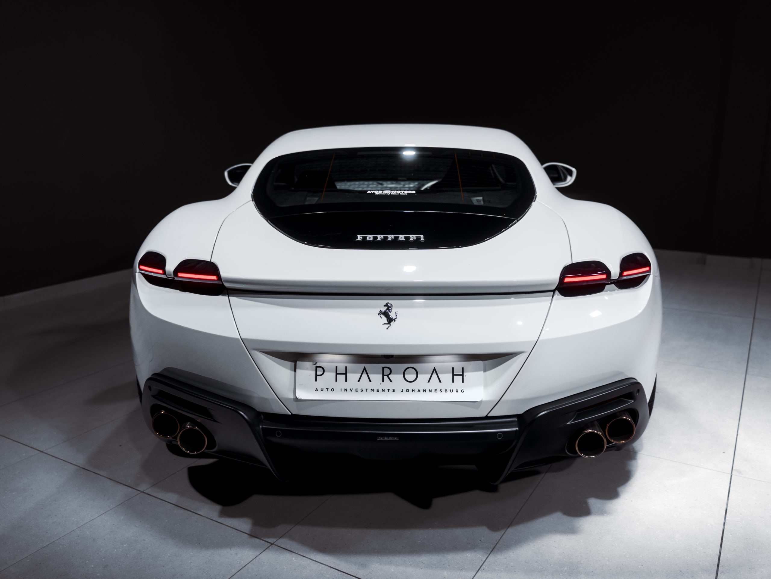 20260206-DSC09651-scaled