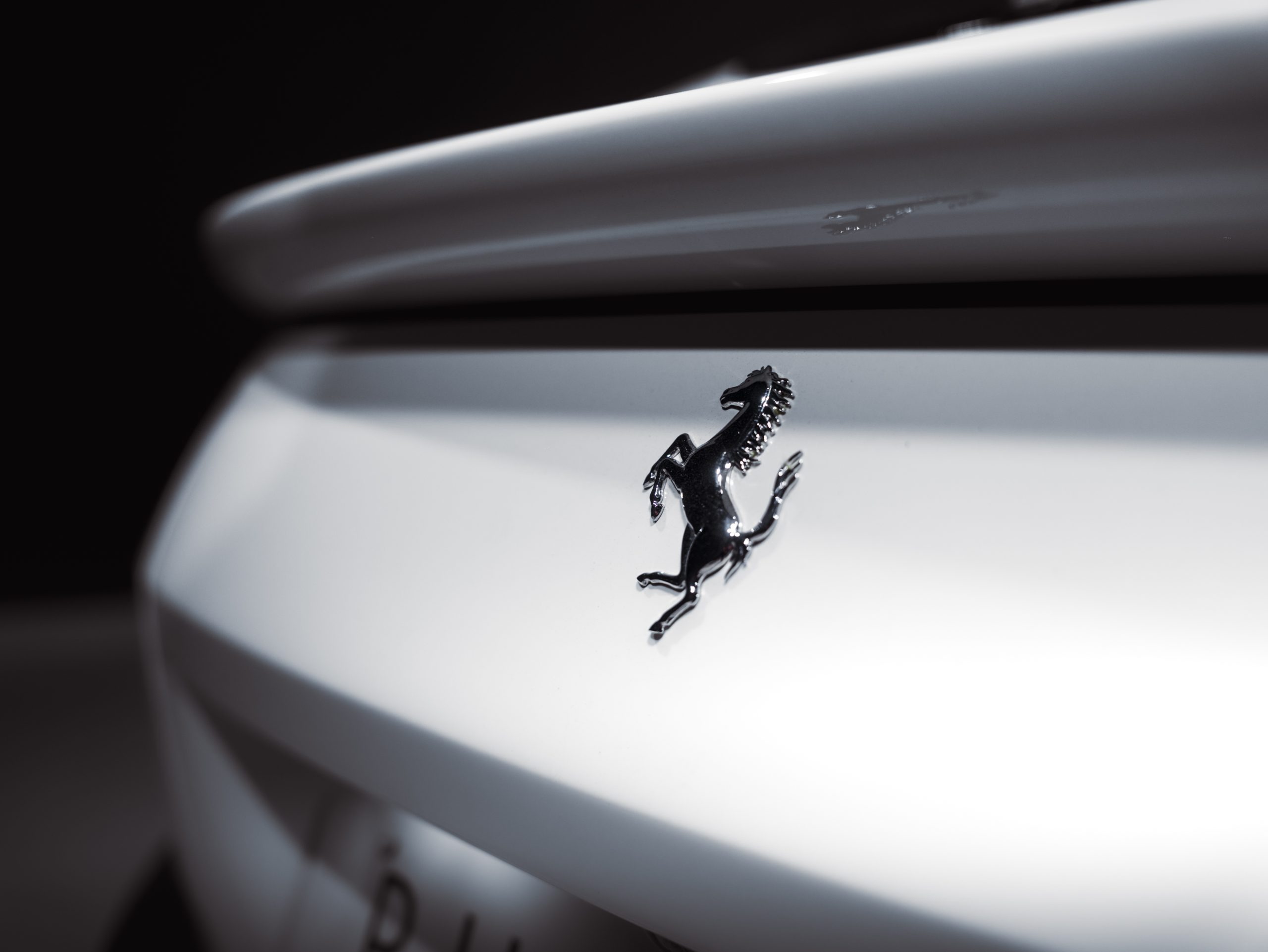 20260206-DSC09654-scaled