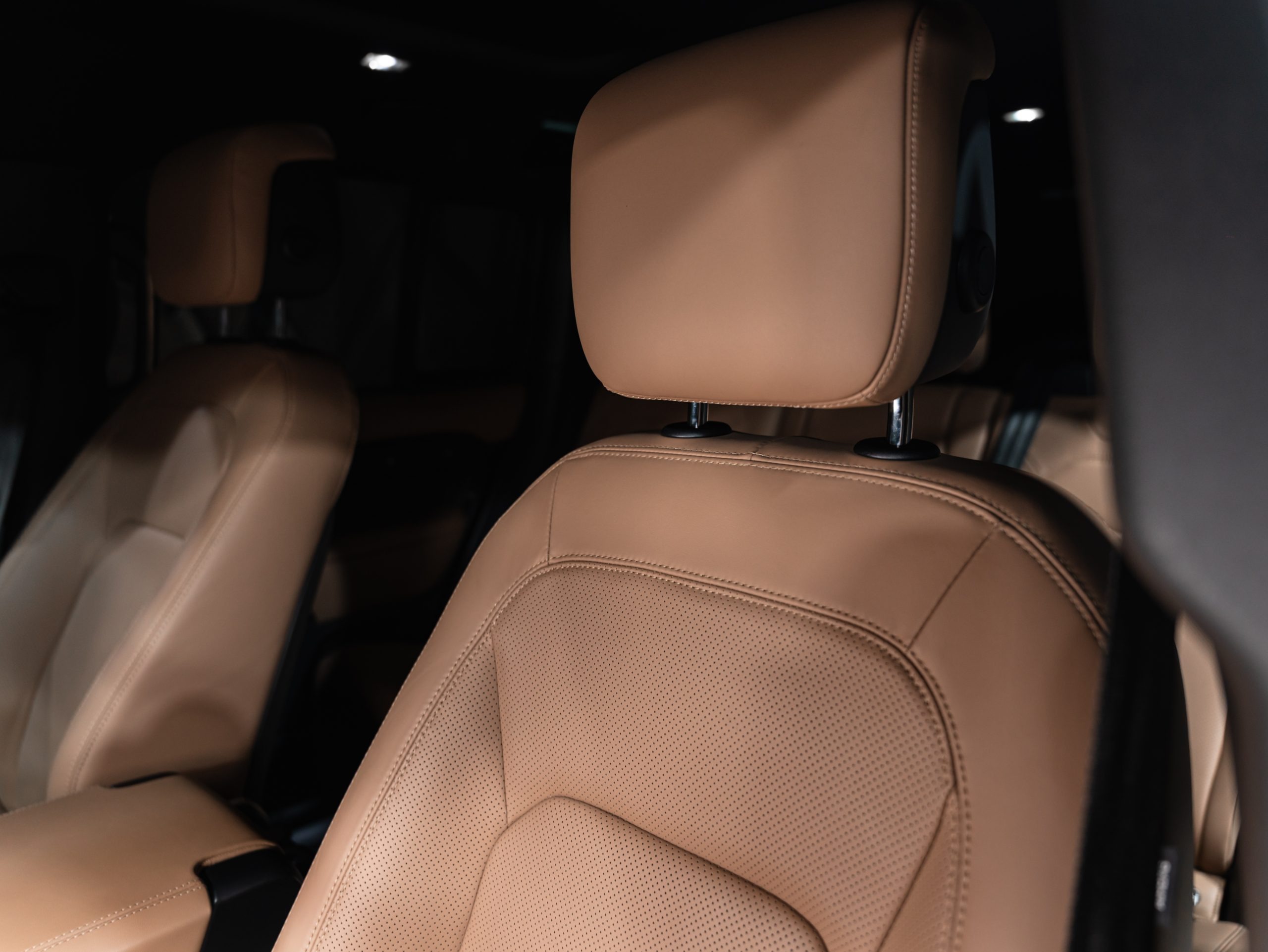 20260314-DSC09708-scaled