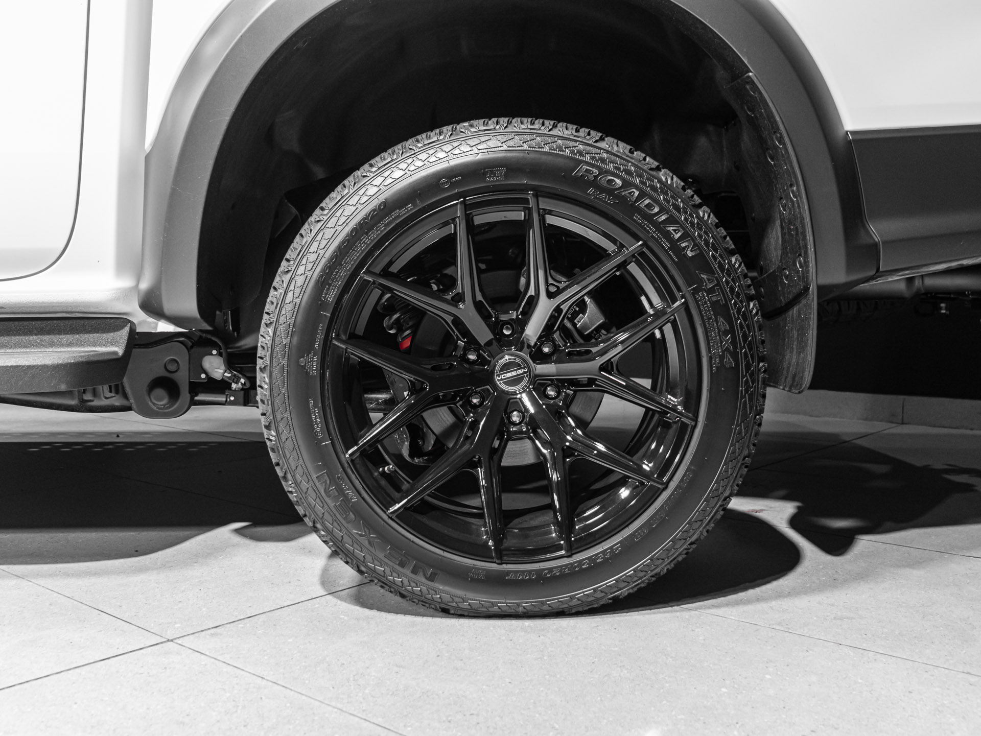 white raptor 5579