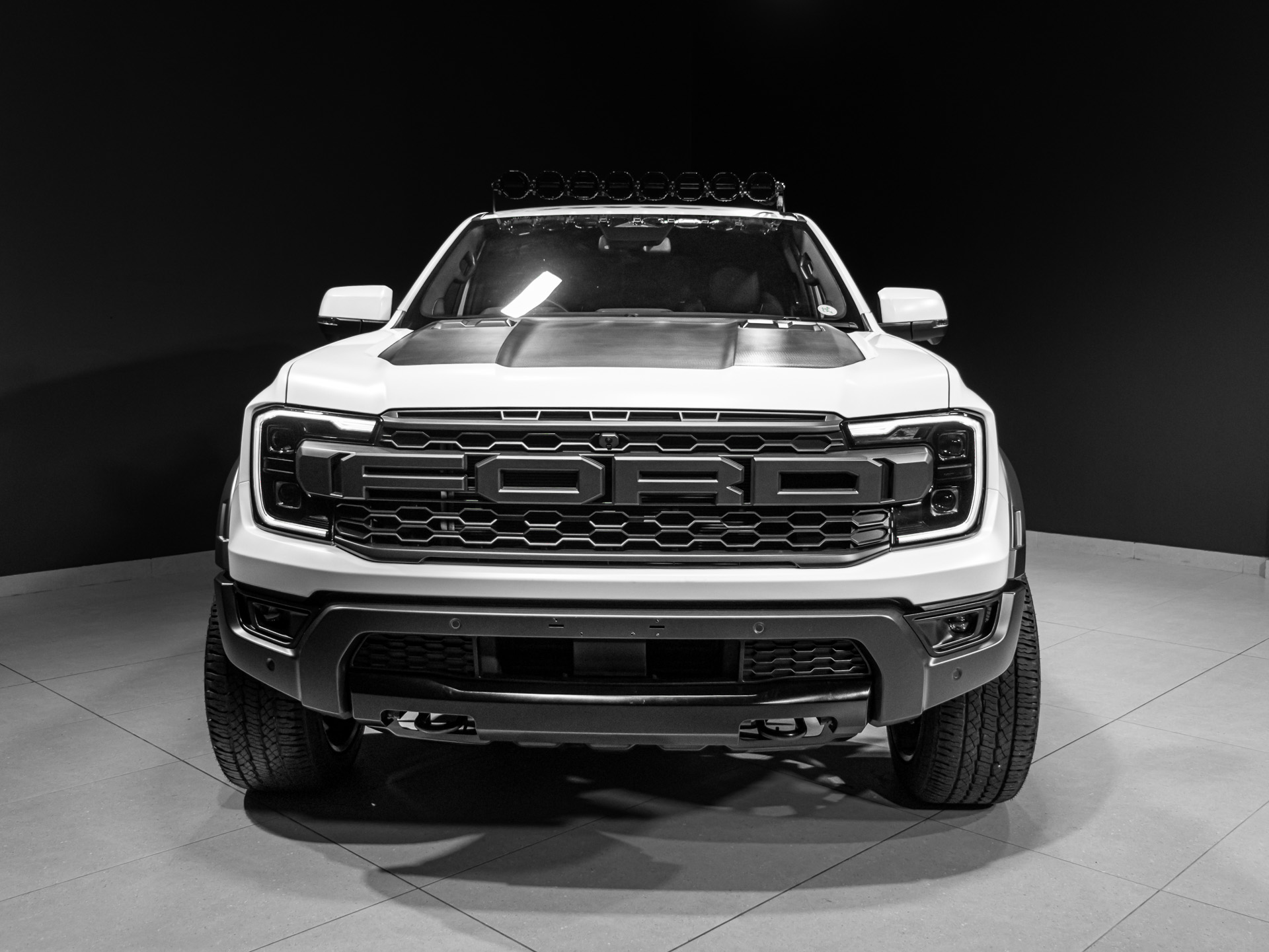 white raptor 5593