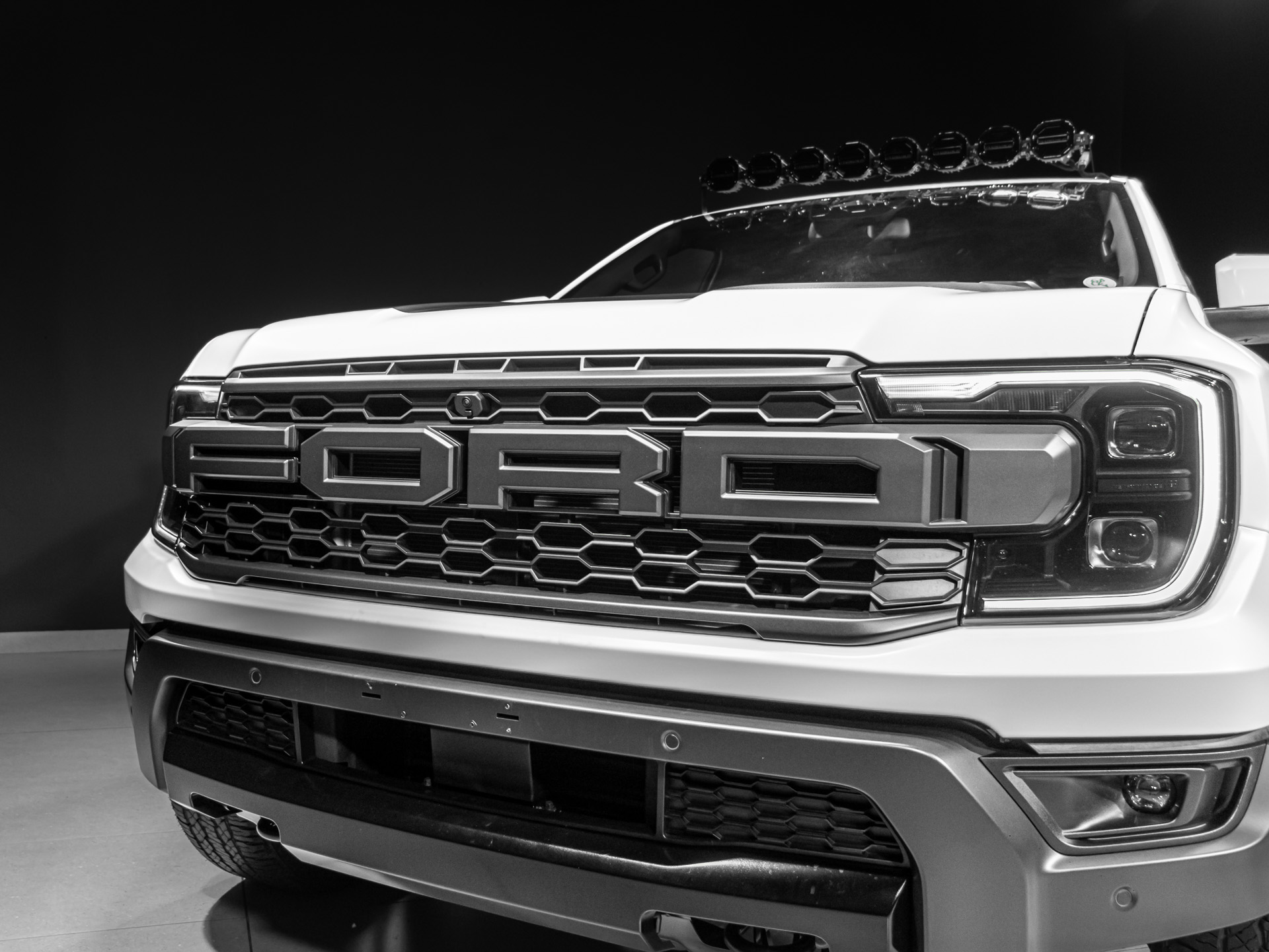 white raptor 5596