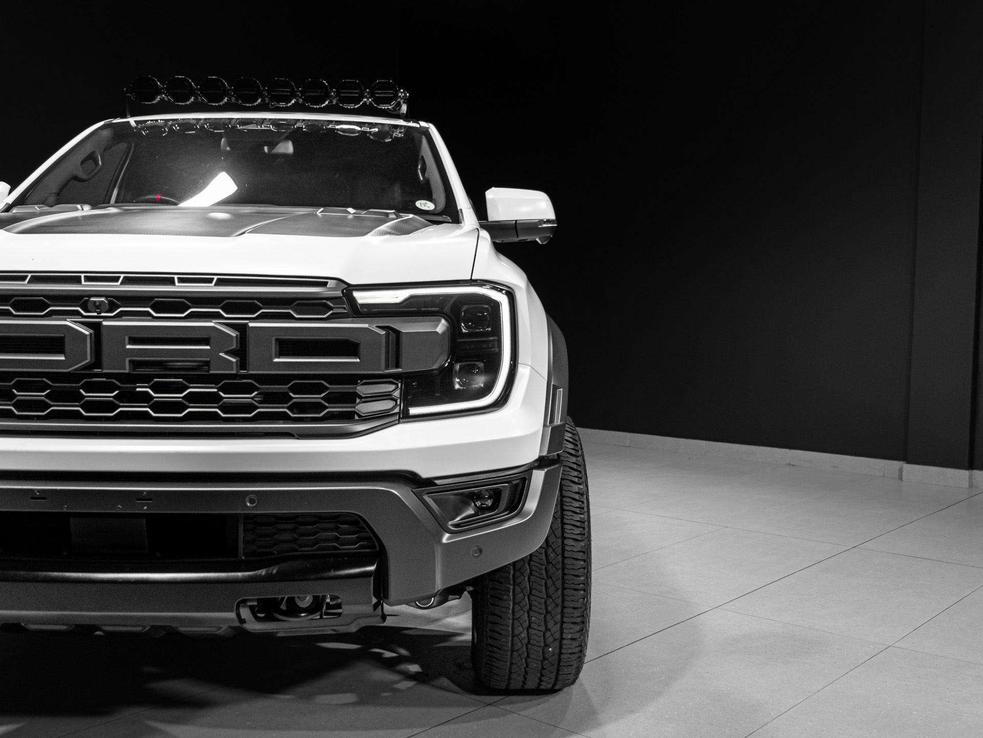 white raptor 5598