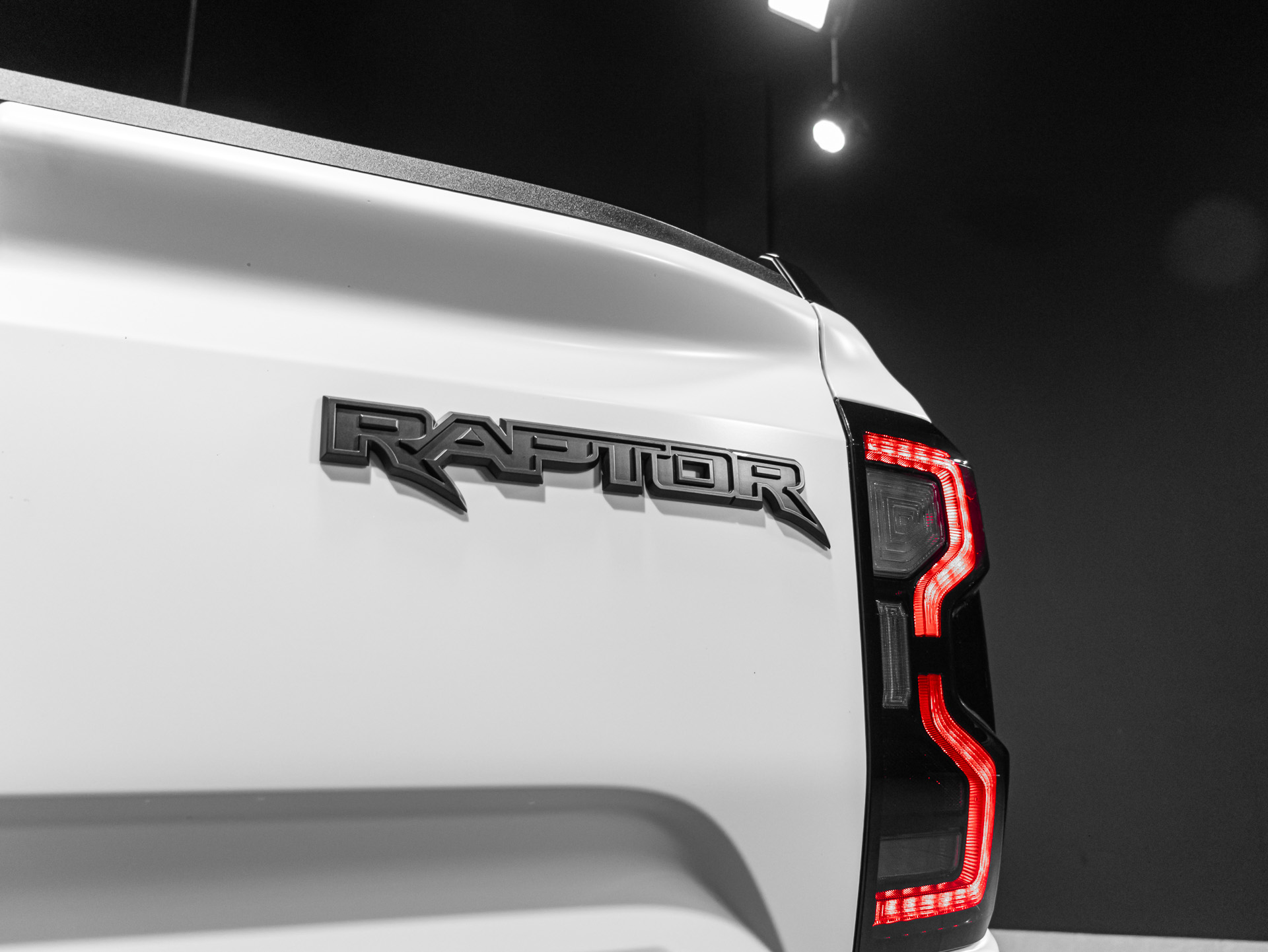 white raptor 5671