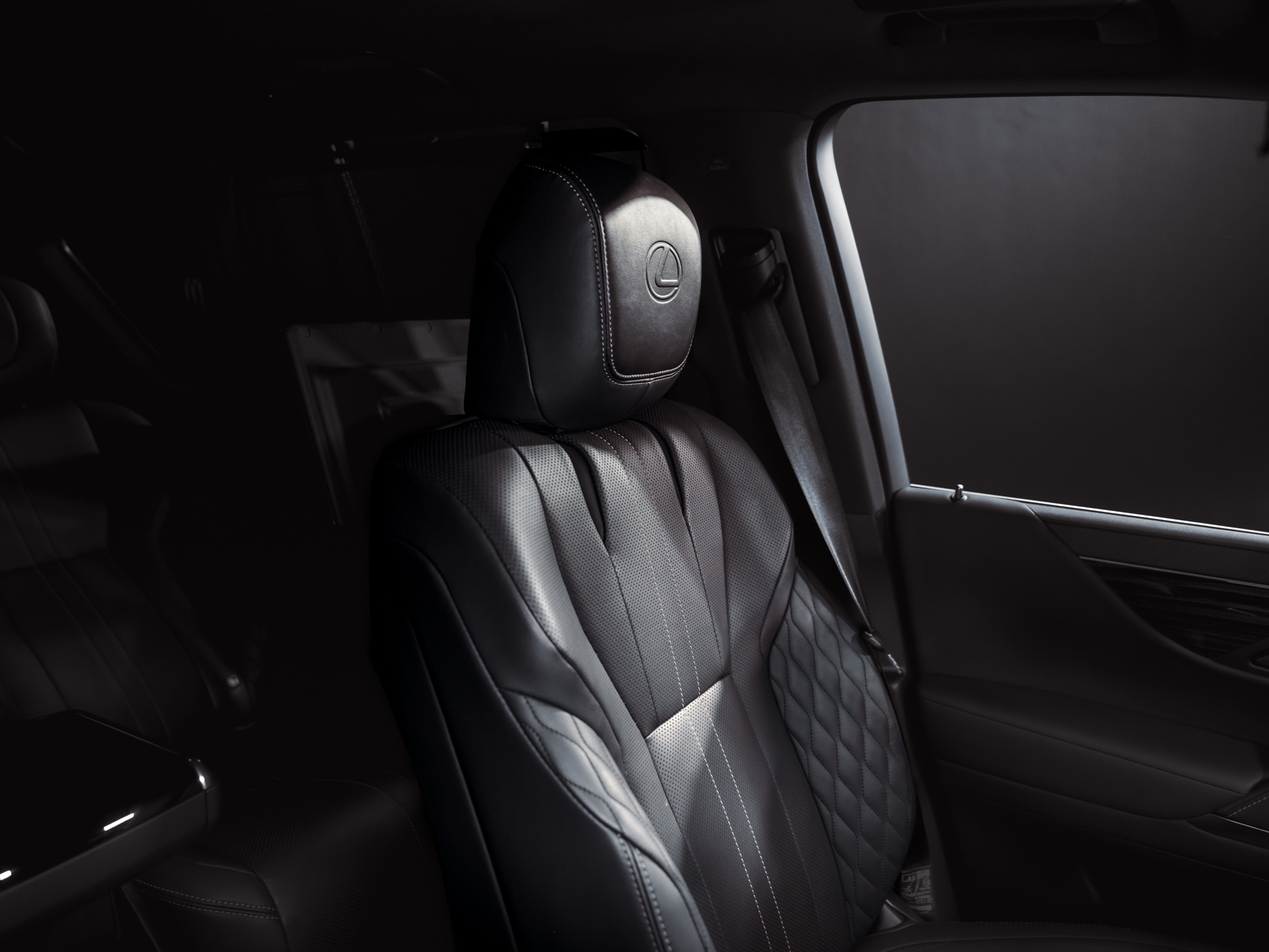 20260115-DSC06480 (1)