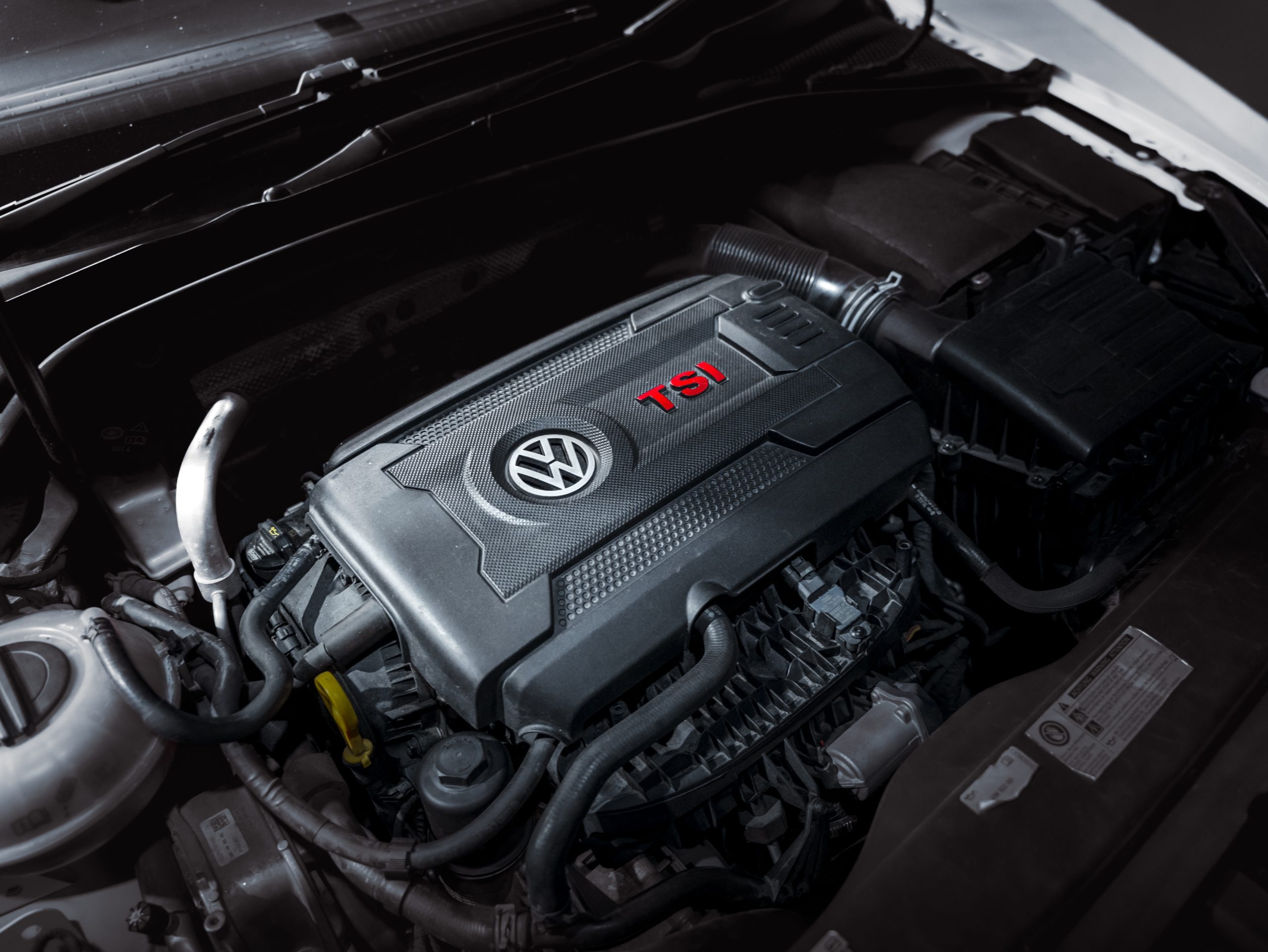 20260309-DSC09431-scaled