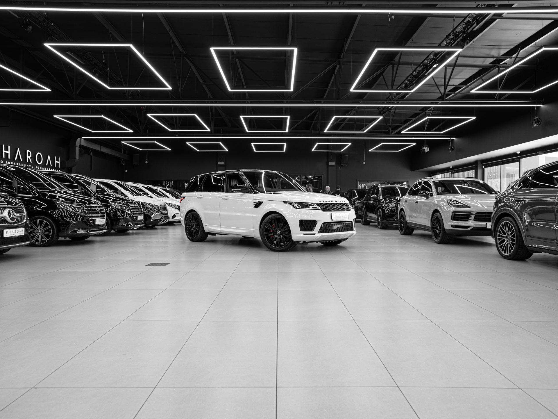 20260815 dsc1088