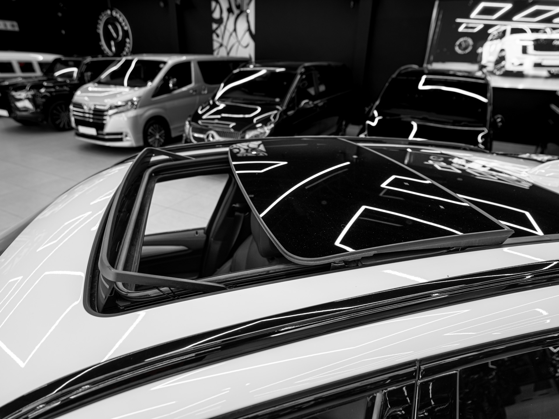 20260818 dsc1691