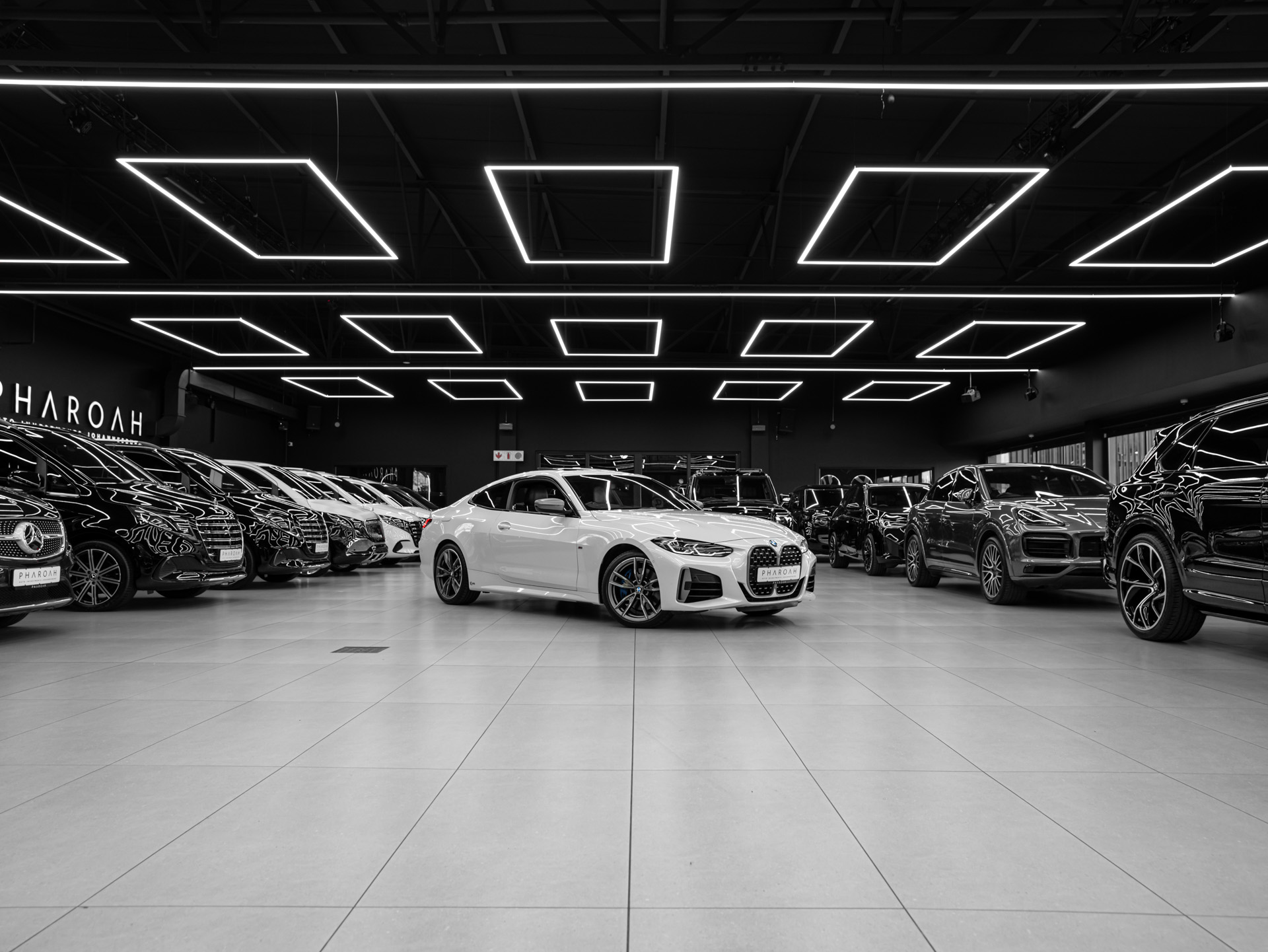 20260818 dsc1710