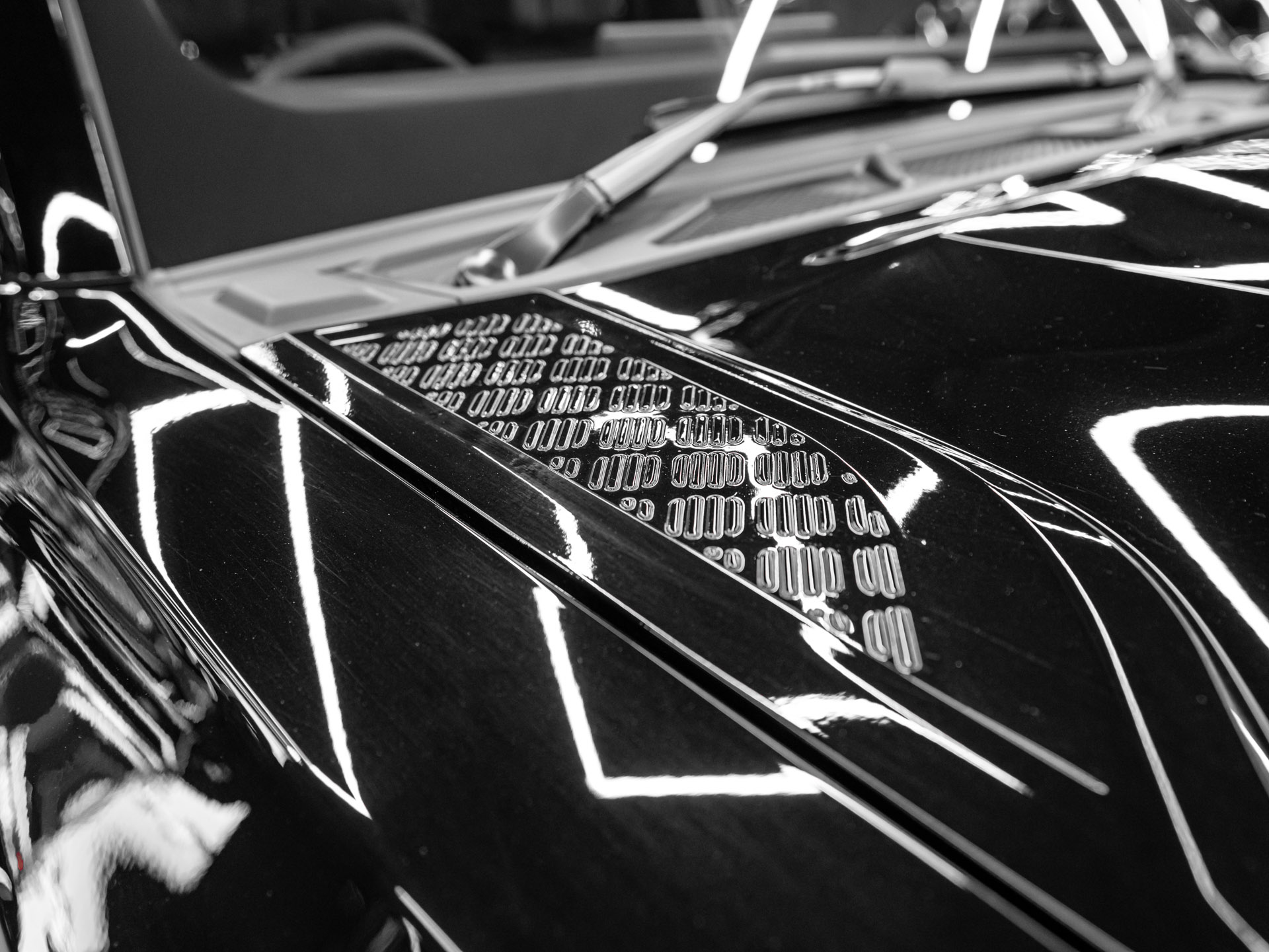 20260811 dsc9817