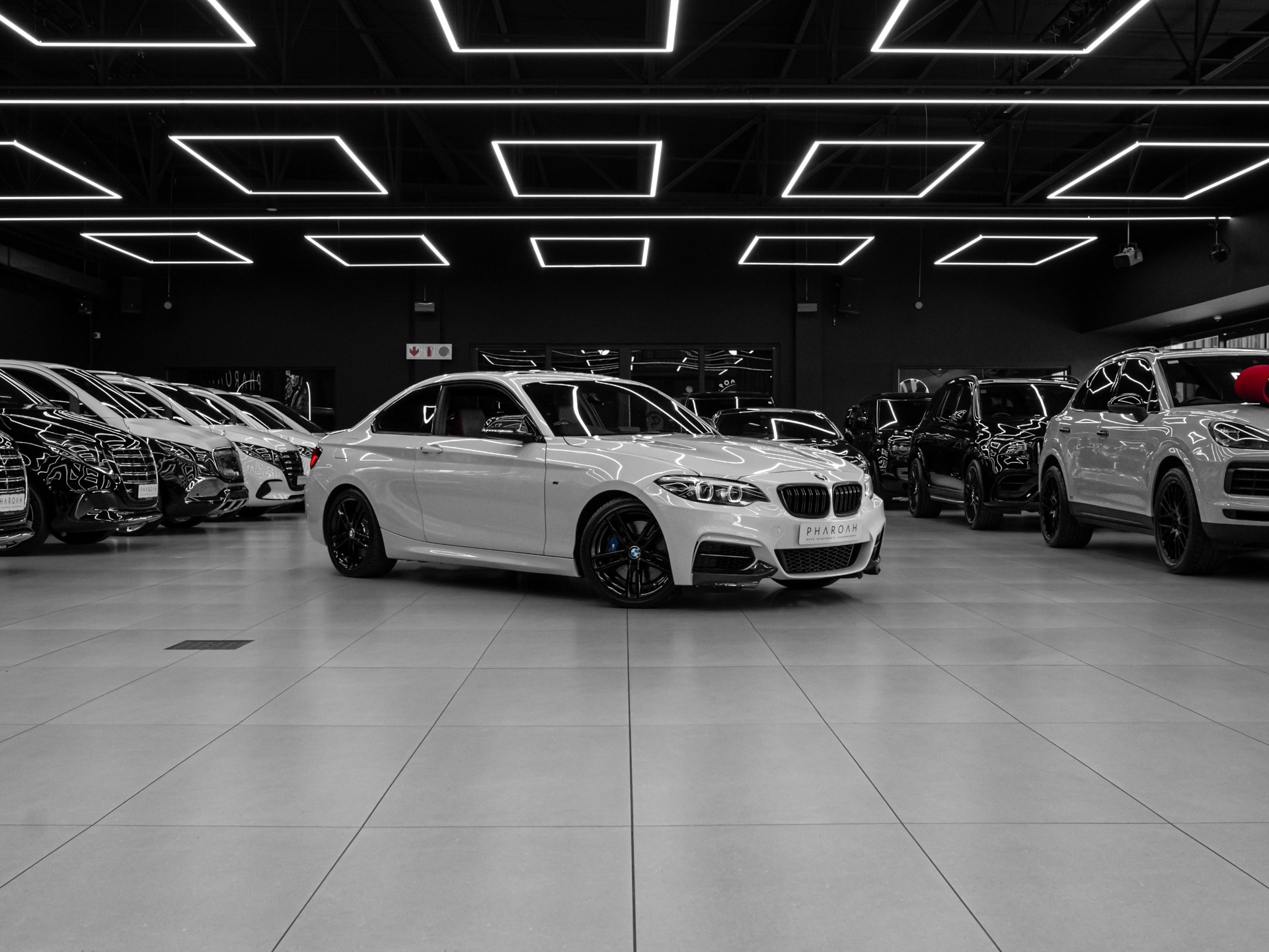 20260806 dsc8546