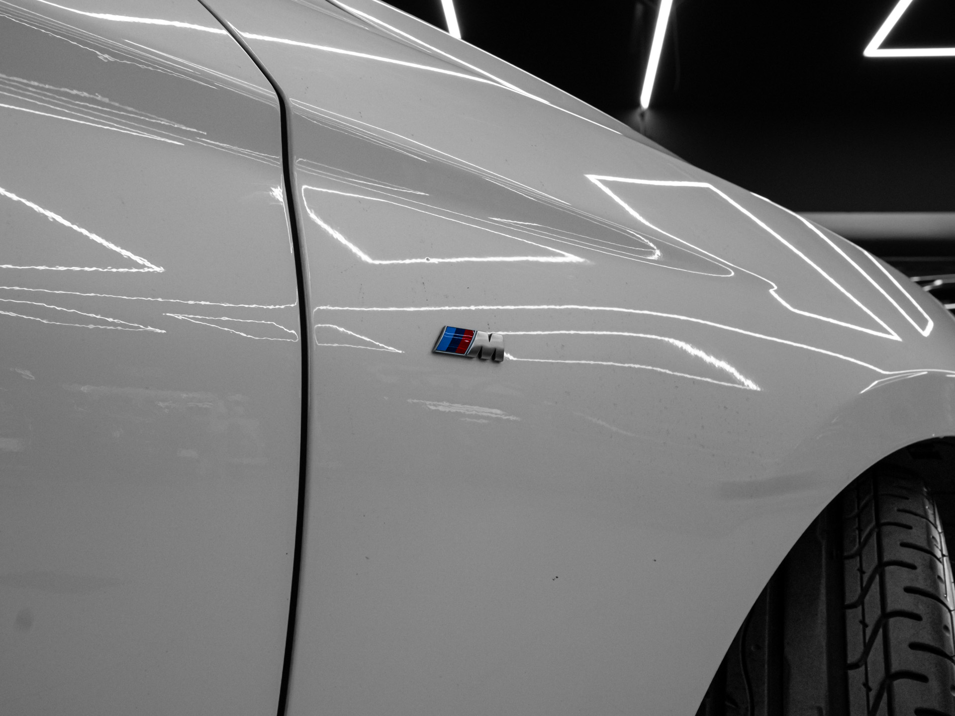 20260806 dsc8554
