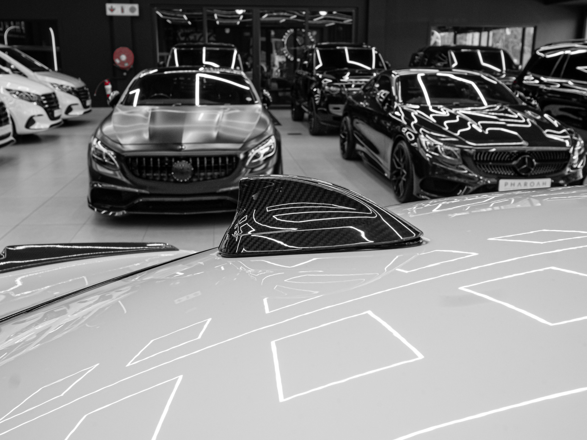 20260806 dsc8566