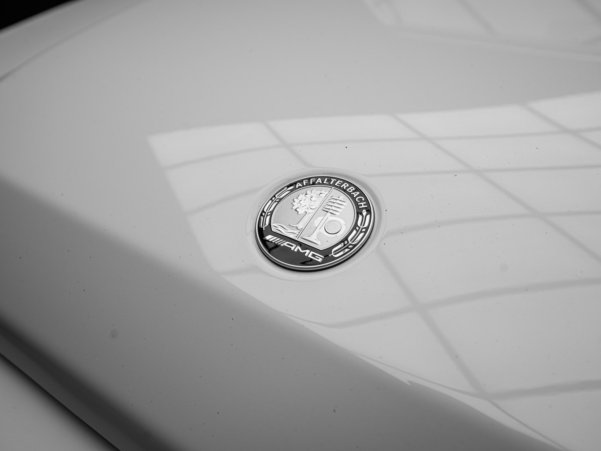 20260824 dsc2512