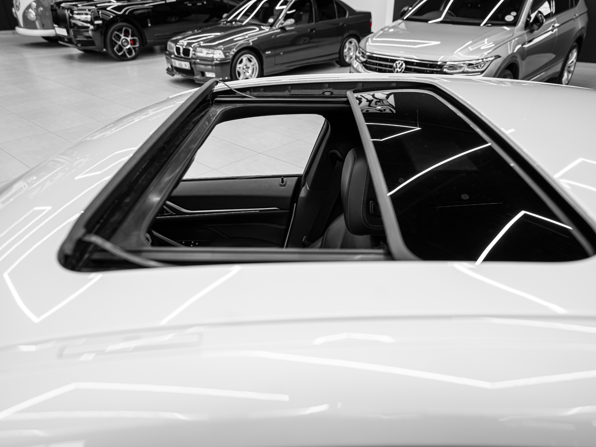 20260827 dsc4610