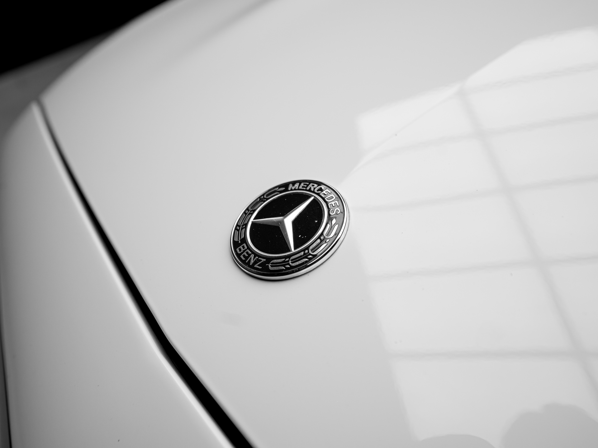 20260831 dsc5857