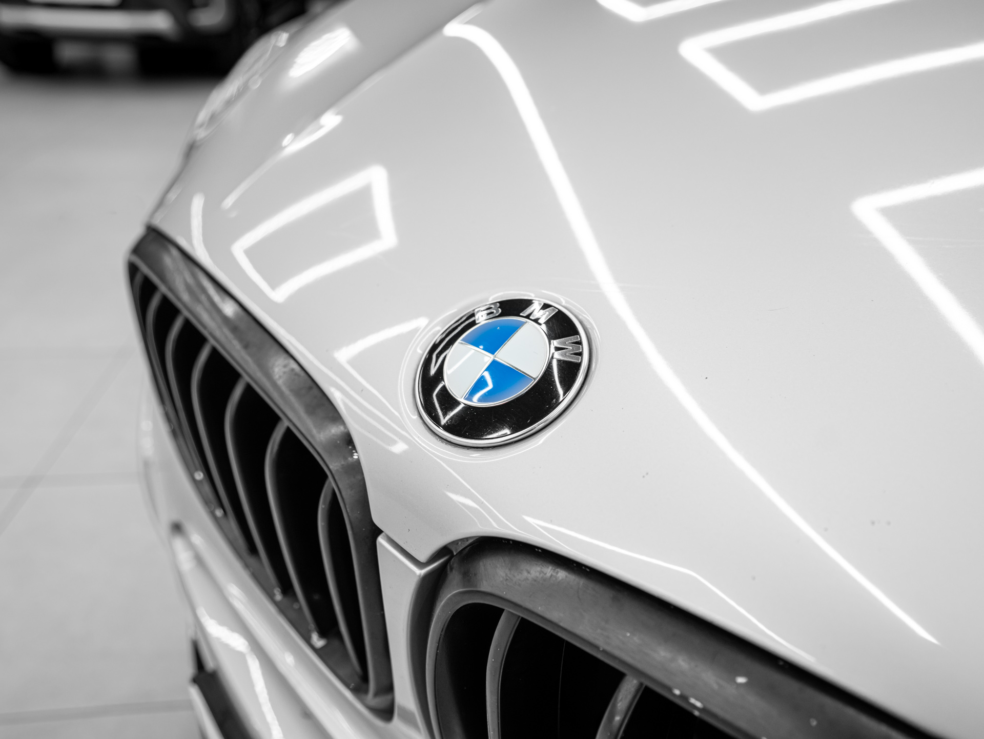 20260903 dsc7342