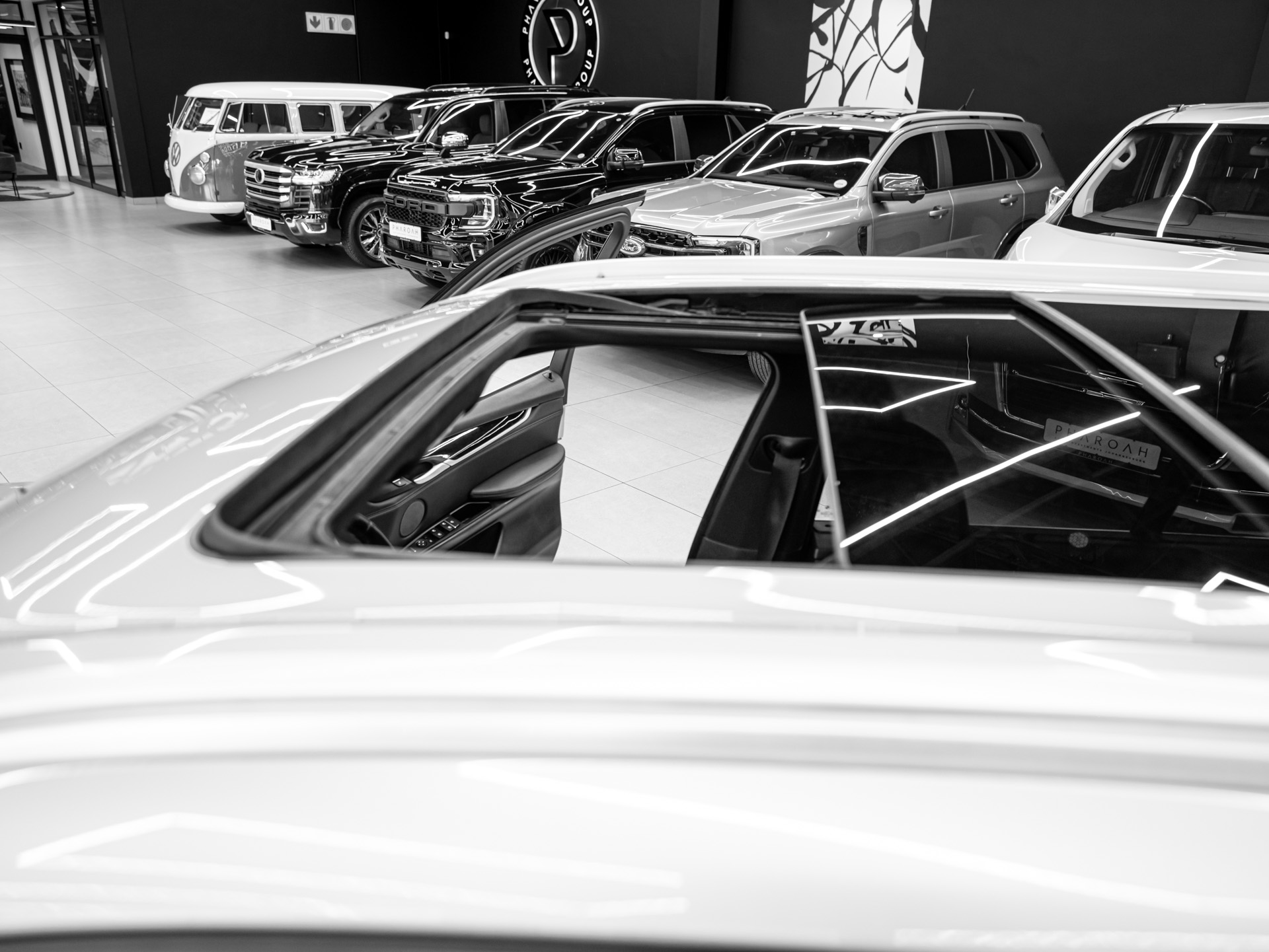 20260903 dsc7361